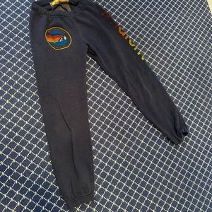 Aviator Nation navy blue sweatpants - size small!